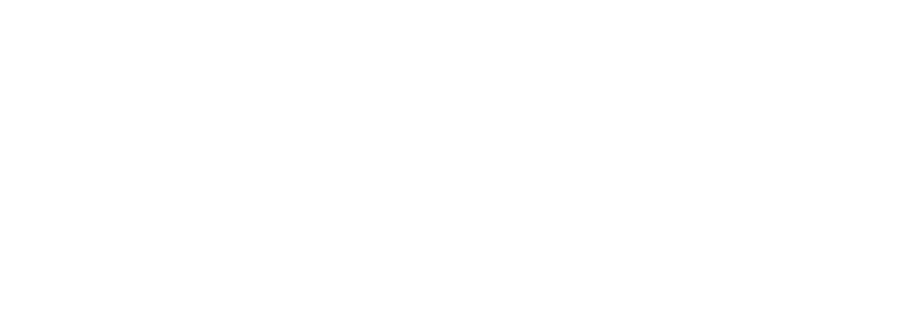 fjord logo